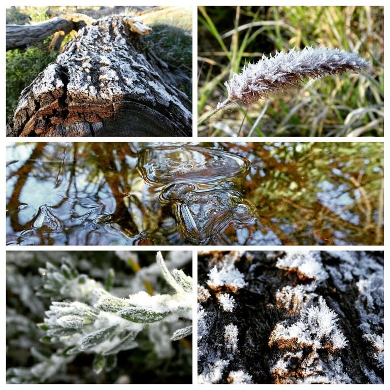 Frost, frost, everywhere!