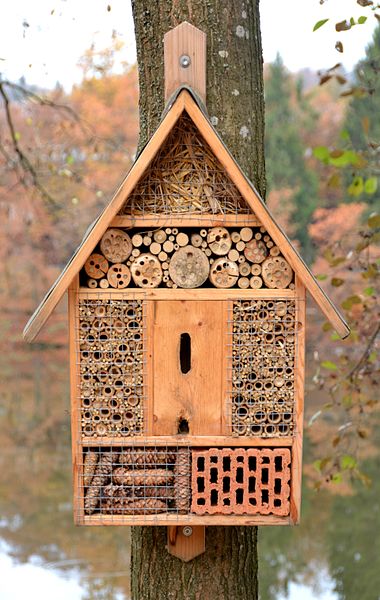 Insect hotels provide sheltered nooks for insects to lay their eggs (Image Wikipedia commons).
