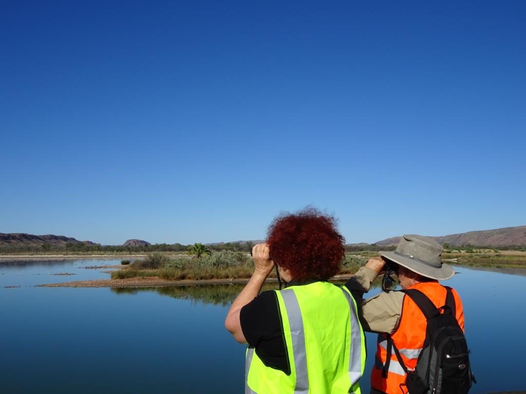 Pam Walker and Jocelyn Davies spotting birds on the far side of the pond.