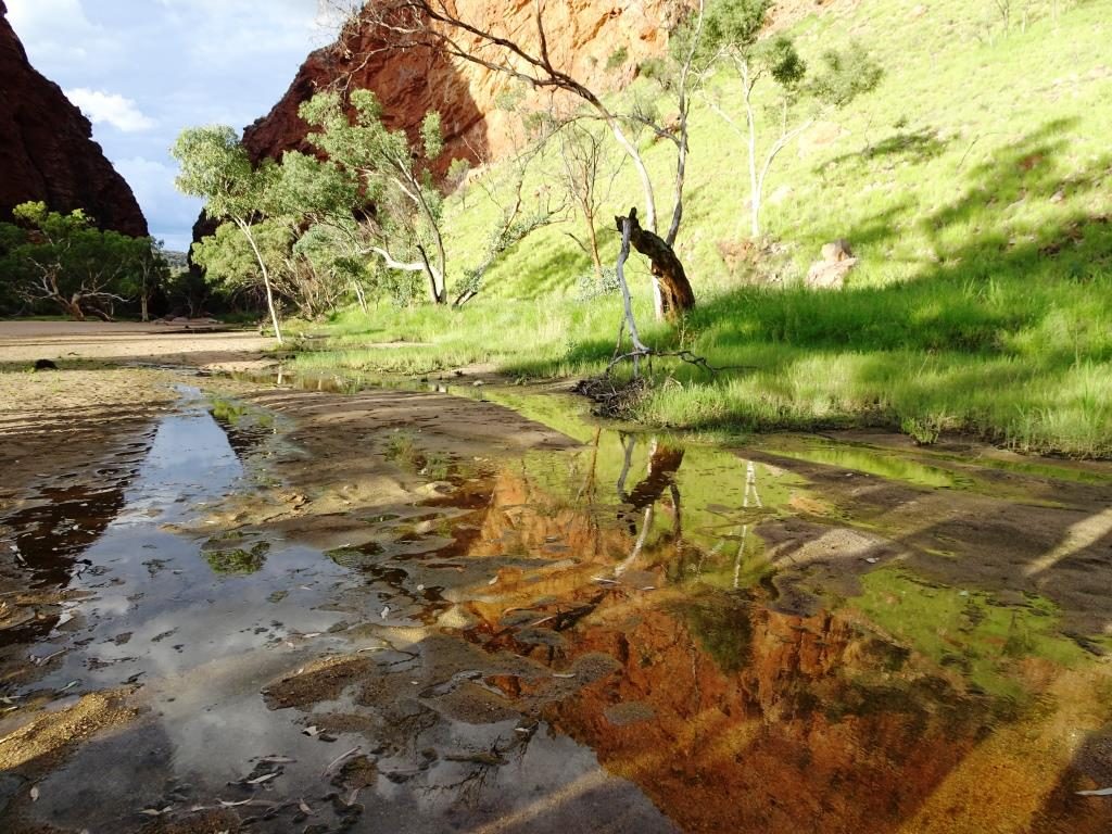 Simpsons Gap: These Waterways are home to a range of amphibians, invertebrates and other fauna.